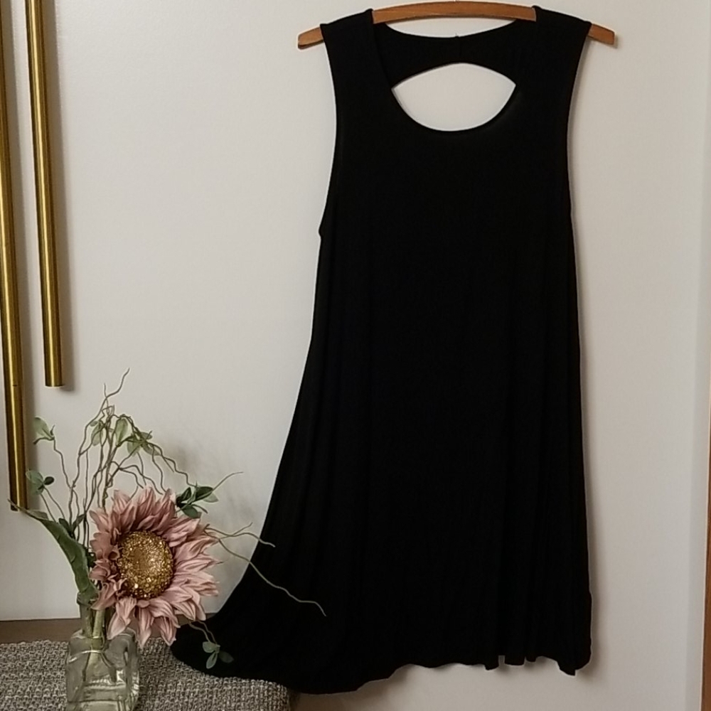 American Eagle ballet back sleeveless swing dress